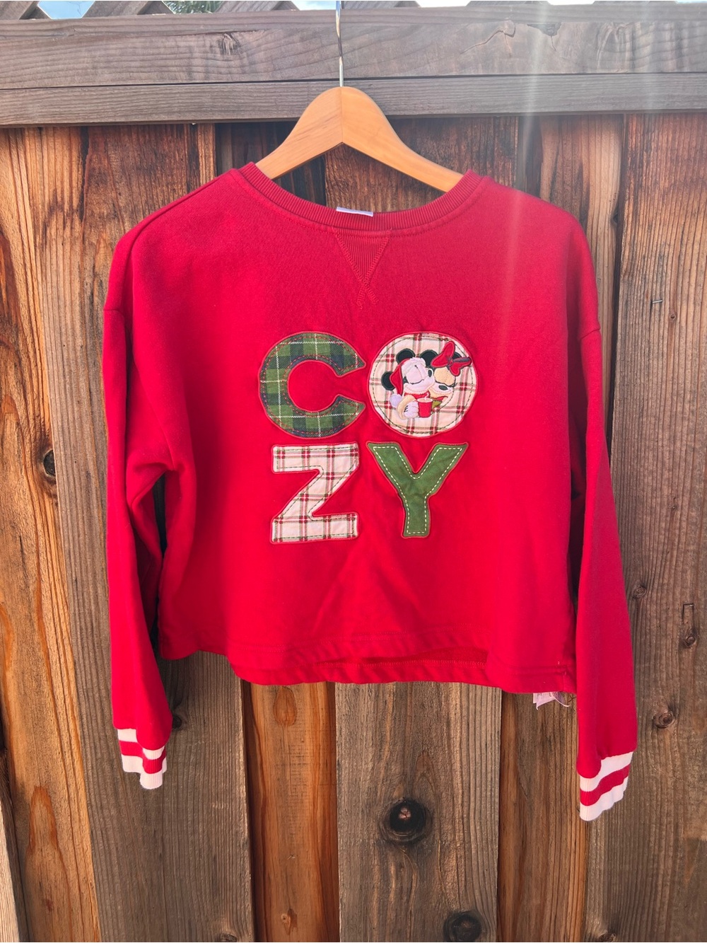 Disney Red 'COZY'  Sweatshirt